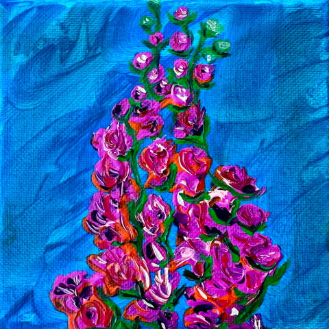 Snapdragons